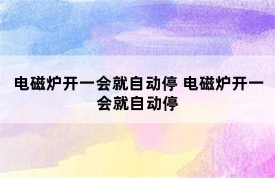 电磁炉开一会就自动停 电磁炉开一会就自动停